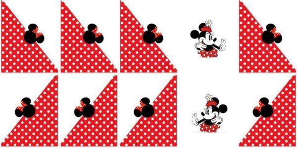 MINNIE TRANVERSAL